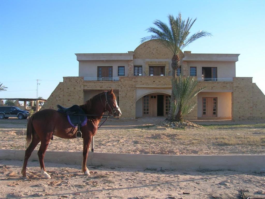 Отель Bella Djerba Хумт-Сук Экстерьер фото